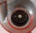 files/WhatsAppImage2024-03-04at15.45.50_917a17e0-a25b-4d25-a9f7-80f9afd46417.jpg